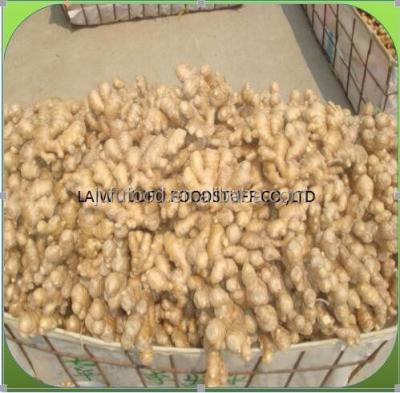 China Fresh Dried Whole and Split Dried Ginger for sale