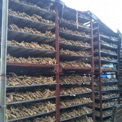 China Whole And Split Fresh Chinese Dried Ginger In Low Price for sale