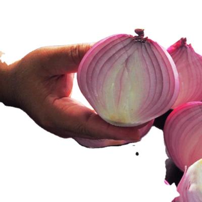 China 2020 Culture China Fresh Fresh Onion Red Onion Yellow Onion Big Price for sale