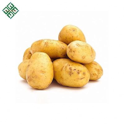 China Bangladesh fresh vegetable fresh potato for sale