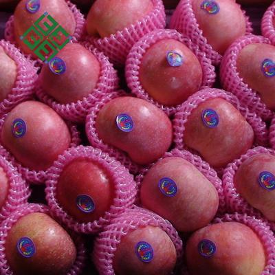 China Yantai Fresh Fruit Fuji Red Delicious Apples for sale