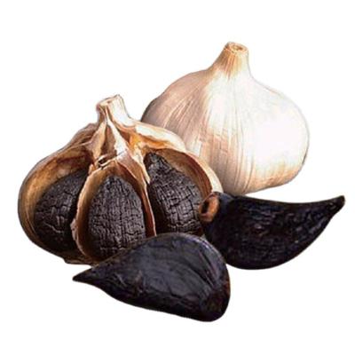 China Fresh Chinese Fermented Organic Black Garlic Solo Garlic Price Is Available for sale