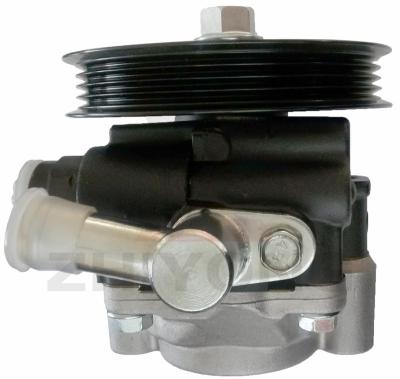 China POWER STEERING PUMP FOR NISSAN ZD30 E25 OEM 49110-VW600 standard size for sale