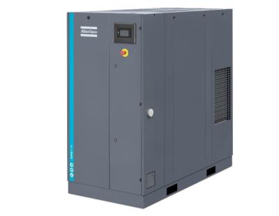 China Oil injected GA 45+ Atlas Screw Air Compressor , GA 45+ Atlas 45kw for sale