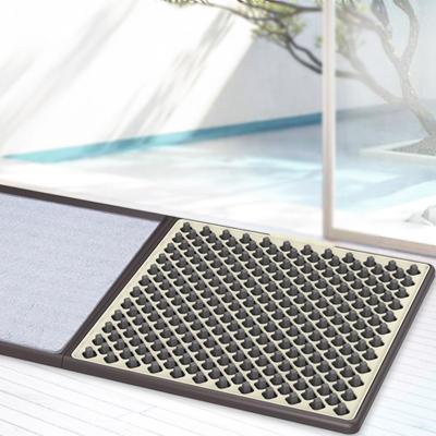 China Anti Slip Mat PVC Home Door Mat Disinfect Shoe And Sole Cleaning Door Mat for sale