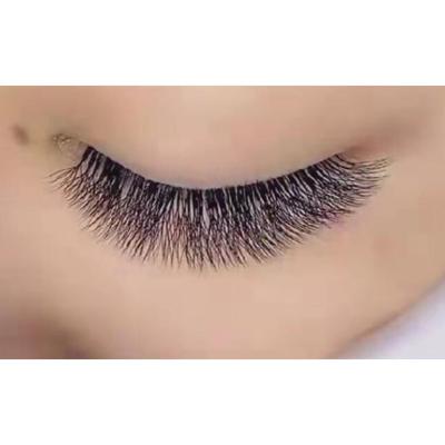 China New Style 4D Natural Fan Eyelash Extension Four Leaf Clover Soft Wick for sale