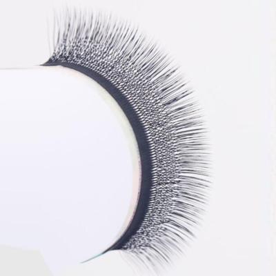 China New Design Soft and Non-crack Root Eyelash Natural Four Leaf Clover Soft Lashes for sale