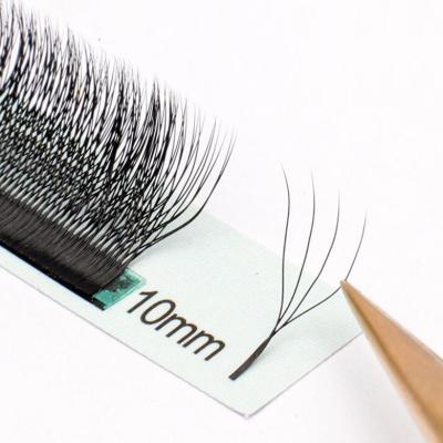 China New Style 4D Natural Fan Eyelash Extension Four Leaf Clover Soft Wick for sale