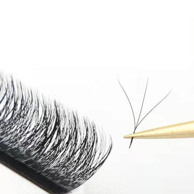 China Volume Fan Premade Natural Soft Clover Eyelash New Arrival Soft Lashes With Lowest Price for sale