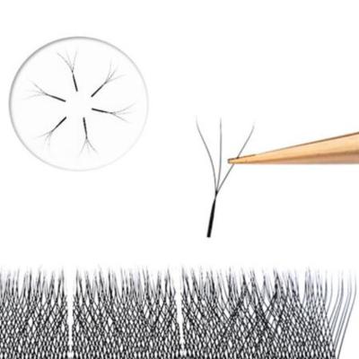 China Natural Soft Eyelashes 3D Clover Blooming Trident Grafting Eyelashes Gently 0.07 Superb for sale