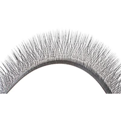 China Manufacturer Supply Natural Soft Eyelashes Lashes Extension From Natural 8-12mm for sale