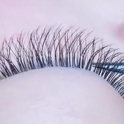 China Professional Volume Lash Extension Tray Natural Soft Natural Eyelash Extension Makeup for sale