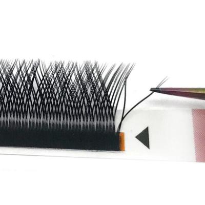 China Fashion Natural Soft Style Volume Eyelash Extensions YY Fiber Lick for sale