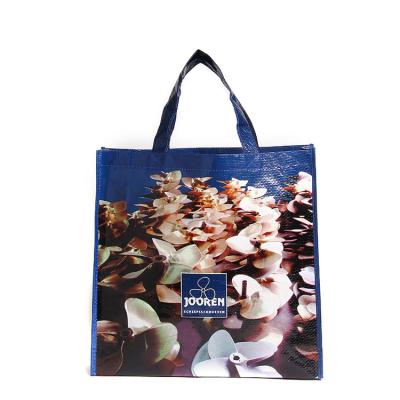 China Colorful Printed Eco - Friendly Promotion Handle Eco - Friendly PP Woven Bags for sale