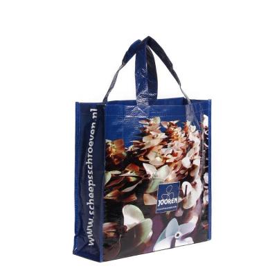 China Colorful Printed Eco - Friendly Promotion Handle Eco - Friendly PP Woven Bags for sale