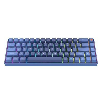 China Popular 68 Keys Custom RGB Backlit Computer Anti-fall Radio Mechanical Gaming Keyboard for Windows Mac Mechanical Keyboards for sale