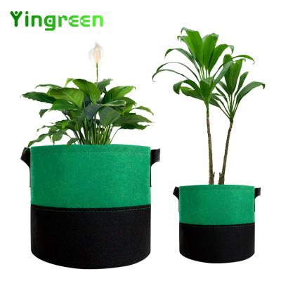 China Planting Non Customized Container Greenhouse Vegetable Garden Potted Plant 3 5 7 10 15 20 Gallon Woven Fabrics Eco - Friendly Grow Bags for sale