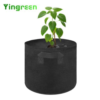 China Planting Eco - Friendly Customized 1 Pot Plant 3 5 7 10 20 30 40 Gallon Potato Garden Non Woven Fabrics Grow Bags for sale