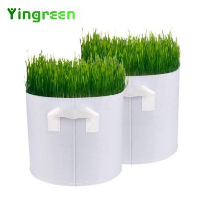 China Planting Potted Plant 3 5 7 10 20 30 Gallon Eco-Friendly White Non-Vegetable Potato Mushroom Woven Fabrics 1 Grow Bags for sale