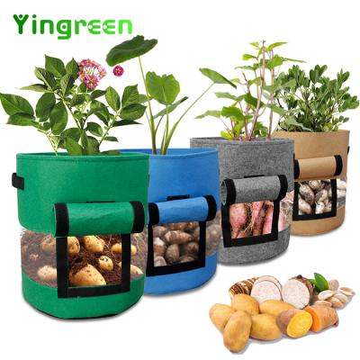 China Planting Eco-friendly Portable Handle Potted Plant 5 7 10 Gallon Potato Non Woven Container Plant Grow Bags for sale