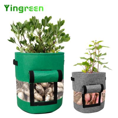 China Planting Factory Price Portable Potted Plant Potato 5 Pack 5 7 10 Gallon Garden Handle Non Woven Fabrics Felt Growing Bags for sale