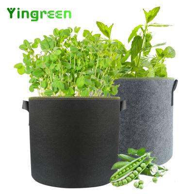 China Planting 1 Bag Eco-friendly 3 5 7 10 20 30 Gallon Mango Vegetable Garden Non Woven Pots Breathable Growing for sale