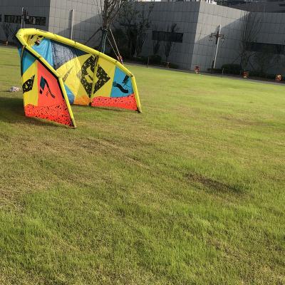 China Adults Wholesale Inflatable Kitesurfing Kite for sale