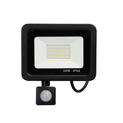 China Warm White 50W Garden Type New Directional Outdoor Garden Led Floodlight Interesting Price for sale