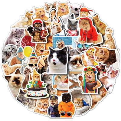 China Waterproof+Eco-friendly 50Pcs Cat Stickers Cute Cat Realistic Dorm Sticker Flags Decorative Bedroom Pet Shop Wall Glass Sticker for sale