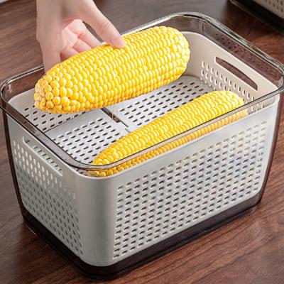 China 2022 new arrival modern original plastic kitchen food plastic storage box for sale