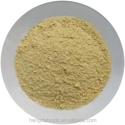 China Dry Factory Directly Supply Ginger Powder for sale