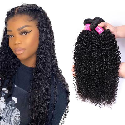 China Curly Wave Natural Curly Mega Tail Indian Pony Hair Capelli Hair Raw Bundle for sale