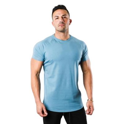 China 94% Cotton 6% Elastane Anti-Shrink Blue Slim Muscle Fit T Shirt Men Fitness Performance Shirt for sale