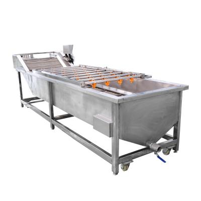 China Hot Sale Stainless Steel Bubble Remover Residue Free Critical / Blueberry Cleaning Machine for sale