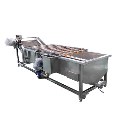 China Critical cleaning machine algae cleaning seal/commercial vegetable bubble without fruit remover residue for sale