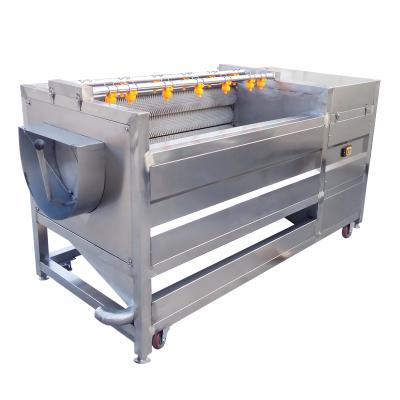 China High Efficiency Shanqiao Vegetable Fruit Bubble Cleaning Machine / Turmeric Washer for sale