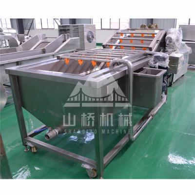 China Hot Sale Stainless Steel Bubble Remover Residue Critical/Carrot Cleaning Machine for sale