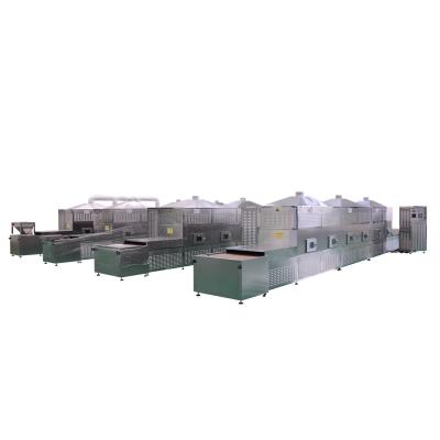 China Vegetables and Longan Microwave Friuts Machinery Fruit and Vegetable Dryer Processing Line for sale