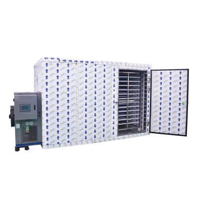 China Energy Saving Industrial Commercial Food Dehydrator Vegetable Drying Machine Lychee Heat Pump Dryer for sale