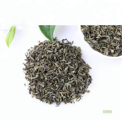 China Tea Zhejiang Province Wuyi Te Verde Organico Chinese Chunmee Loose Tea 9369 Green Tea for sale