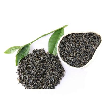 China Chinese Chunmee Loose Tea 41022aa Haccp Qs Jiulongshan Te Verde Chummee Loose Wuyi Green Tea for sale