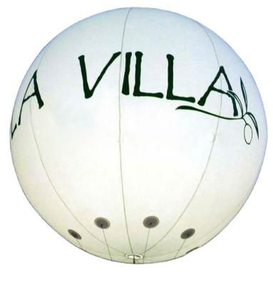 China Hot Sale PVC Custom Logo Helium Paint Balloon for sale