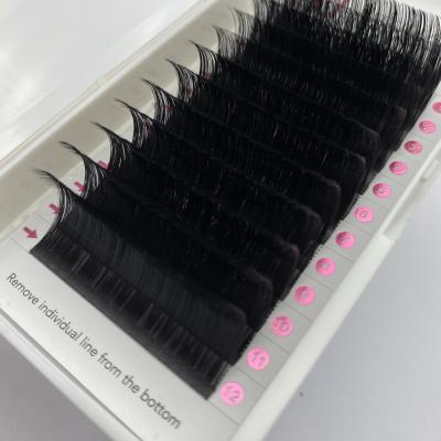 China Wholesale Natural Lashes Private Label Long Volume Eyelash Extensions Customize Lash Trays for sale