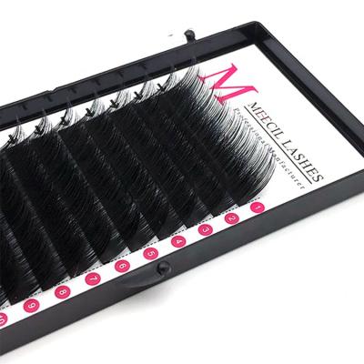 China Long Volume Natural Russian Eyelash Extensions Different Lashes Customize Trays Classic Eyelash Extension for sale