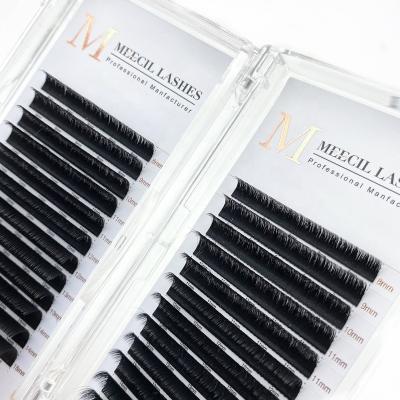 China Mega Blooming Volume Fan Lashes Long Fans Natural Easy Grow Fast Eyelash Extensions for sale