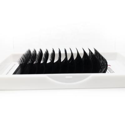 China Meecil Long Natural Easy Fanning Eyelash Extensions Loose Pointed Wick Fans Eyelash Extension Accessories for sale