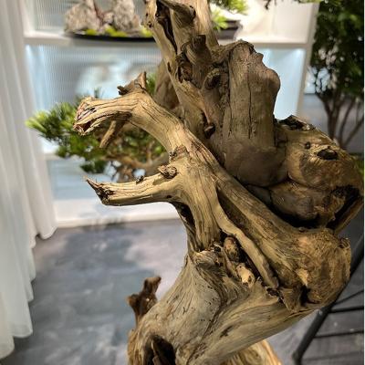 China Various kind of indoor decoration artificial pine for modern factory sales garden centerpiece decor office hotel restaurant plant artificial window for sale