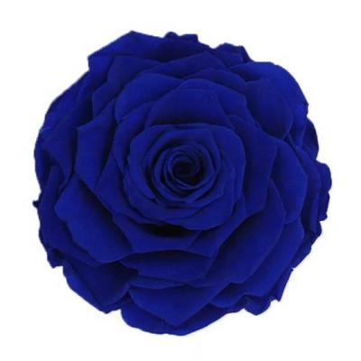 China Gift Wholesale 9-10cm Good Quality Real Touch Fresh Preserved Roses Enchanted Eternal Roses for sale