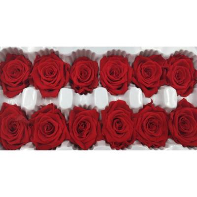 China Gift Supply High Quality Fresh Natural Preserved Roses Flower From Kunming Factory for sale