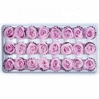 China Gift Fashionable Preserved Rose Flower 2-3cm Head For Party Decoration for sale